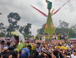 Andum Apokat, Petani Wonosalam Bagikan 2025 Alpukat