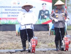 Penanaman Jagung Serentak Se-Jawa Timur Di Ponpes Tebu Ireng Jombang
