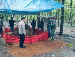 Kolaborasi TNI-Polri Intensifkan Penindakan Judi Sabung Ayam Di Jombang