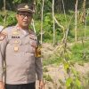 Manfaatkan Lahan Produktif, Kapolsek Kudu Tinjau Progres Pertumbuhan Tanaman Uwi Ungu
