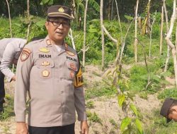 Manfaatkan Lahan Produktif, Kapolsek Kudu Tinjau Progres Pertumbuhan Tanaman Uwi Ungu